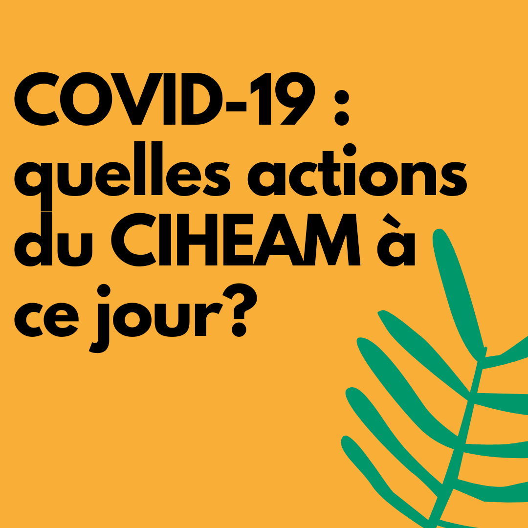 COVID-19 : quelles actions du CIHEAM à ce jour ?