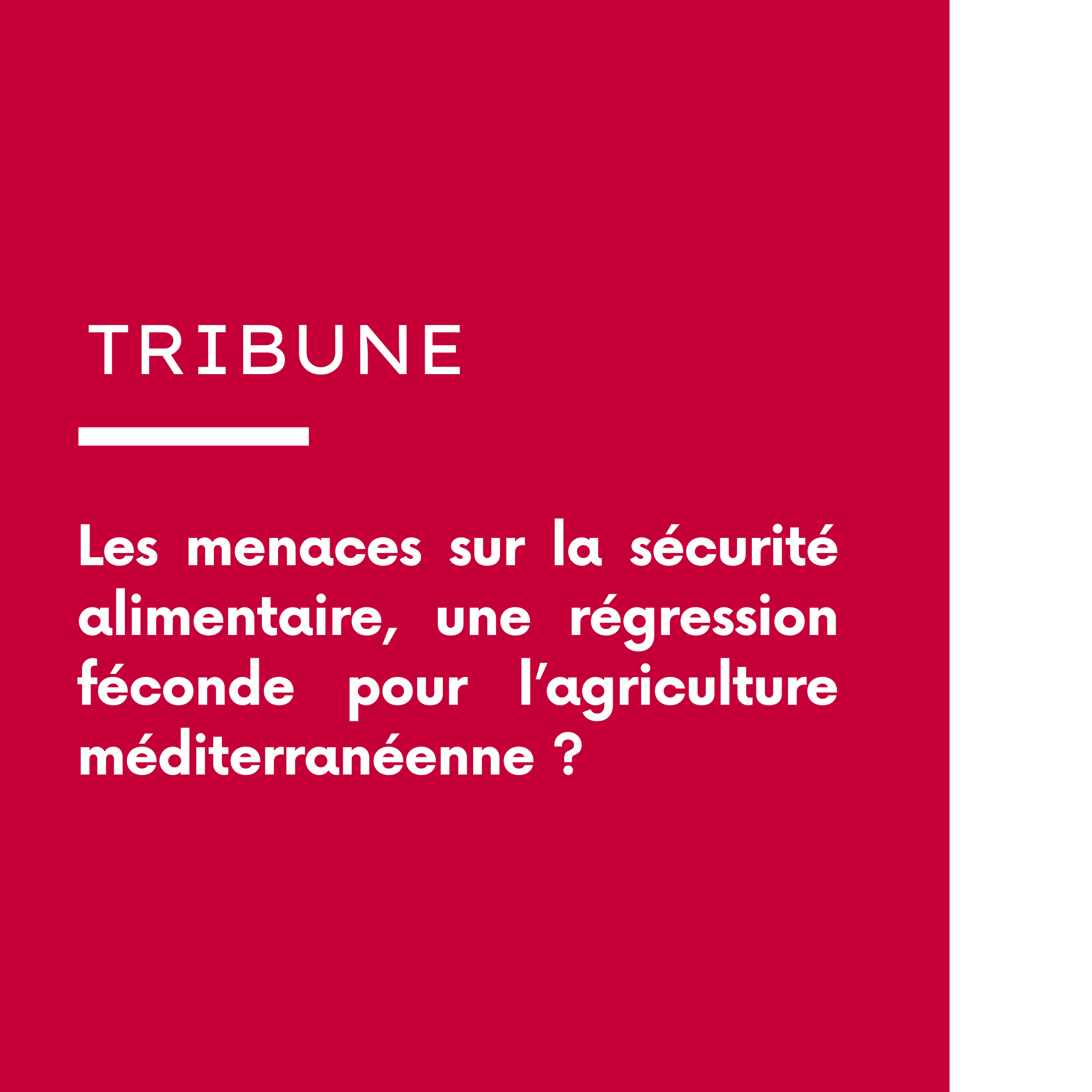 Tribune du Pr. Mohammed Sadiki (Président du Conseil d’Administration du CIHEAM) et de M. Plácido Plaza (Secrétaire Général du CIHEAM)  : Threats on Food Security in the Mediterranean Region.