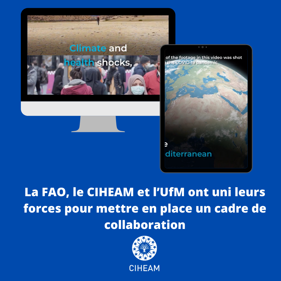 DES COLLABORATIONS POUR SOUTENIR LA TRANSITION VERS DES SYSTÈMES ALIMENTAIRES PLUS DURABLES DANS LA RÉGION MÉDITERRANÉENNE