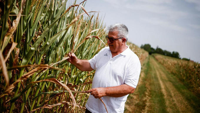 ITALIE : La sécheresse historique met à genoux l'agriculture italienne ...