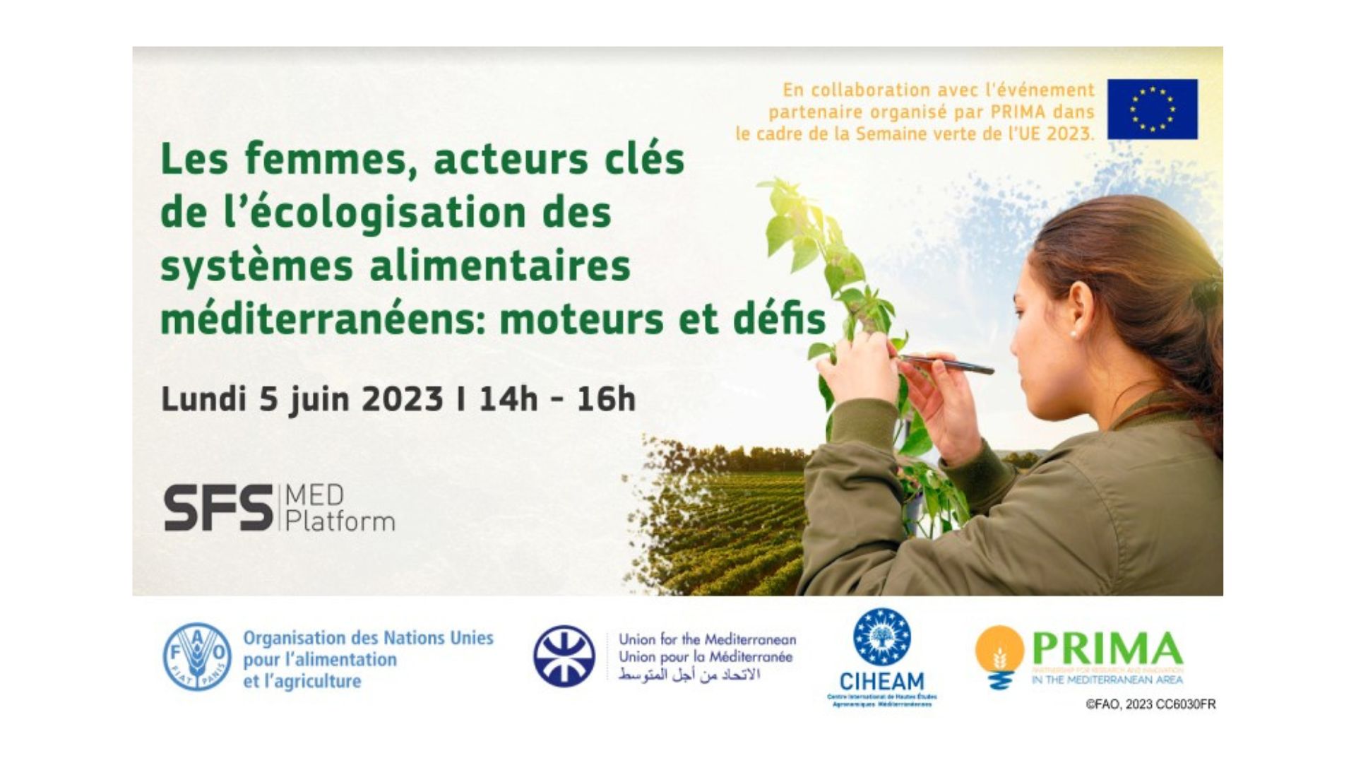 Webinaire – Les femmes, acteurs clés de l’écologisation des systèmes alimentaires méditerranéens : moteurs et défis