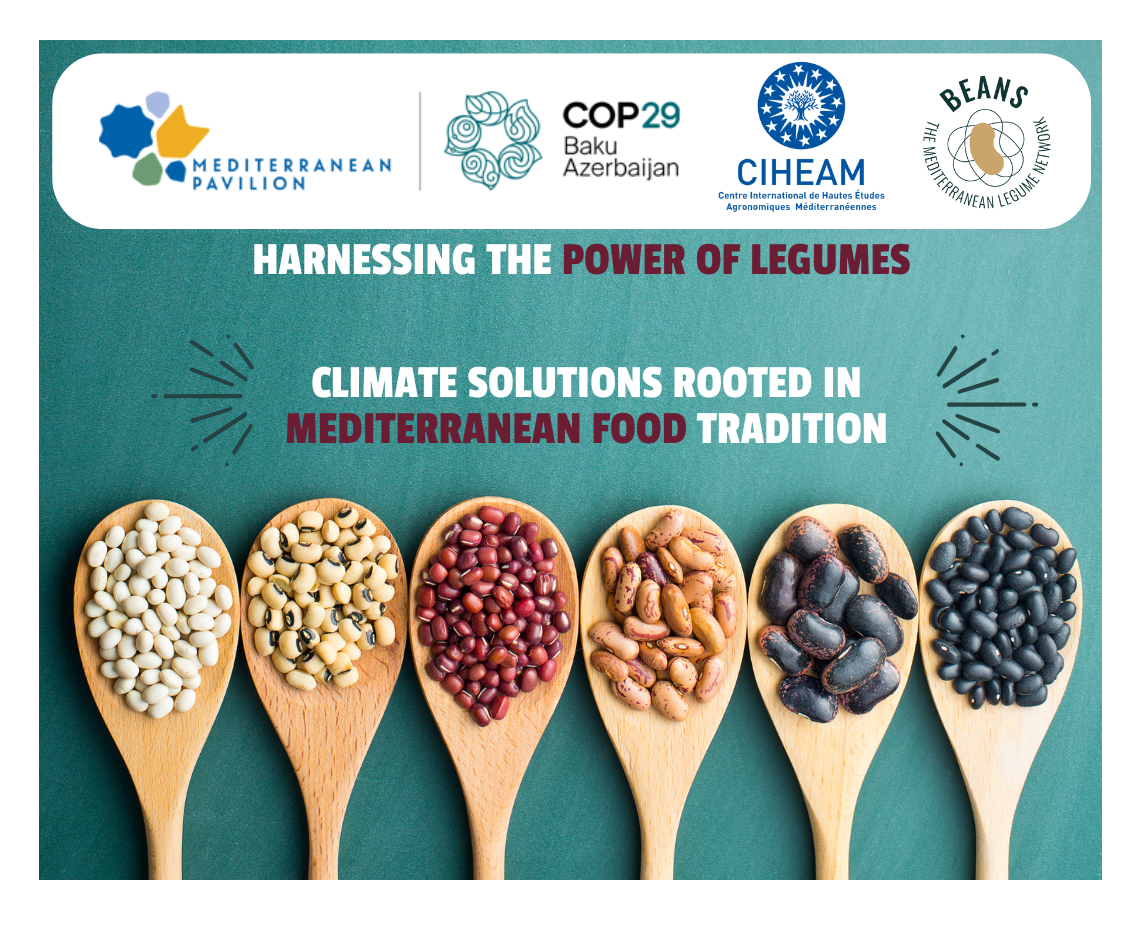 COP29/Harnessing the Power of Legumes